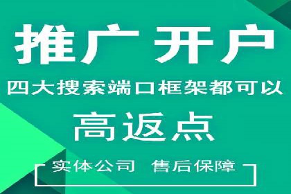 SEM代理服务：案例对比，效果哪家更胜一筹